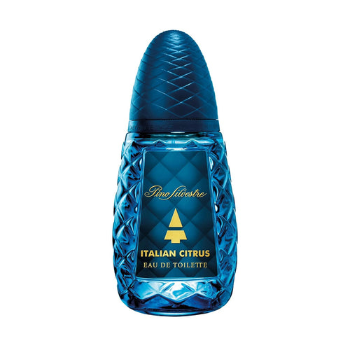 Pino Silvestre Italian Citrus Perfume for Men - 4.2 oz EDT Spray, Woody Aromatic