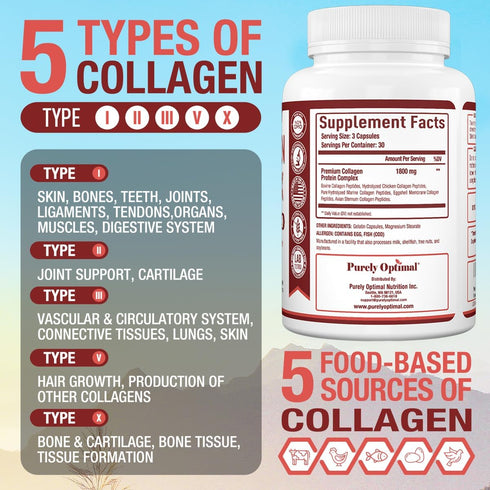 Purely Optimal Premium Multi Collagen Peptides Capsules (Types I, II, III, V, X) - Hair, Skin and Nails, Digestive &