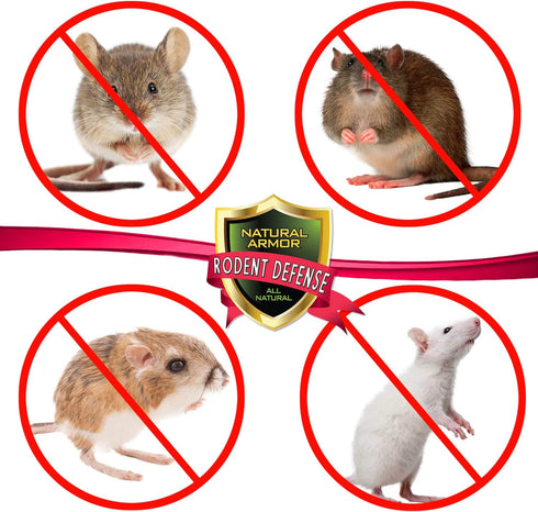 Natural Armor Peppermint Repellent for Mice, Rats & Rodents - Indoor & Outdoor Use Rodent Shield, 128 Fl Oz