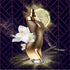 Shakira Dance Midnight Perfume for Women - Long Lasting Floral Gourmand Notes - 1.7 Fl Oz