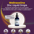 WellnessOne Ionic Liquid Zinc Drops - Highly Absorbable Zinc Supplements for Kids & Adults, 1.67 fl oz