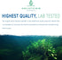 Blue Spirulina Powder, Organic Blue Green Algae Powder, 50 Grams, Supplements, Smoothies, & Baked Goods, Rich Source of