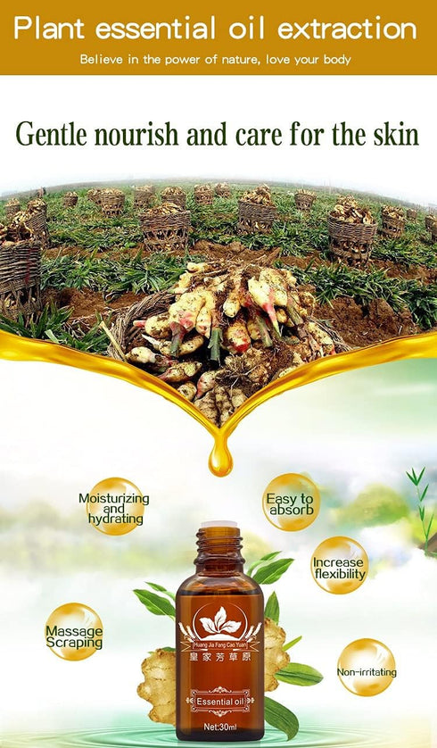 Meifen 3 Pack Lymphatic Drainage Ginger Oil, Ginger Massage Oil to Promote Blood Circulation,Suitable for Body Massage