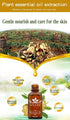 Meifen 3 Pack Lymphatic Drainage Ginger Oil, Ginger Massage Oil to Promote Blood Circulation,Suitable for Body Massage