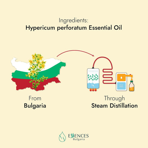 Essences Bulgaria Organic St. John's Wort Essential Oil 1/6 Fl Oz | 5ml | 100% Pure and Natural | Undiluted |
