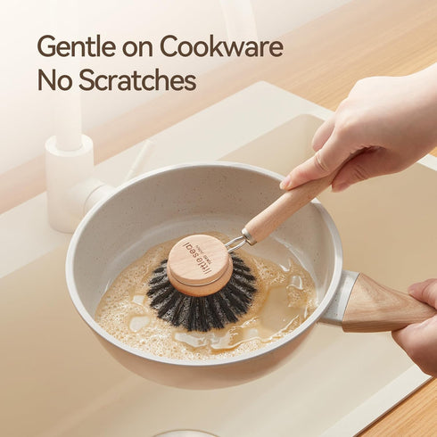 Little Seal Set 2, Dish Brush of Wooden Handle Natural Bristle Scrubber, Non-Scratch Grease Absorbent for Non-Stick