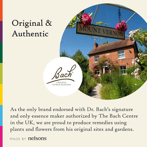 Bach Original Flower Remedies, Emotional Ups & Downs Trio Kit for Mental Energy, Natural Homeopathic Essence