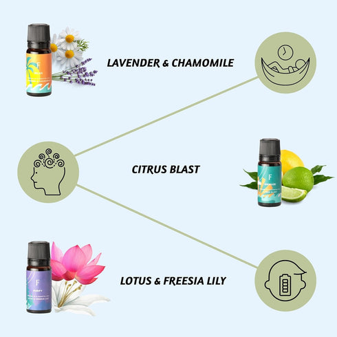 Folkulture Essential Oils for Diffuser - Set of 6 Fragrance Oils for Home, Oil Diffuser Essential Oils