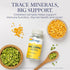 Zinc Copper Amino Acid Chelate, SOLARAY, Immune Support Supplement, 50mg, 100 VegCaps