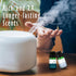 Set, MitFlor Cologne & Clean Fragrance Oils Soap Candle Making Scents, Essential Oils for Diffusers for Home
