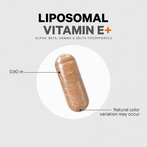 Codeage Liposomal Vitamin E Supplement, 90 Capsules - All Vitamin E Tocopherols, Antioxidant, 3-Month Supply