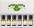 Good Essential Oil Set – 6-Pack Floral Aromatherapy – Gardenia, Honeysuckle, Jasmine, Lilac, Magnolia, Spa for Home Care