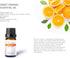 Set Pack 6, 10ml, Citrus Essential Oil - of Pure Therapeutic Grade Fruity Essential Oils includes Lemon, Grapefruit
