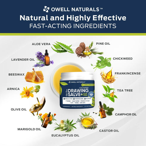 OWELL Naturals Chickweed Salve 4 oz - Drawing Salve with Aloe Vera for Skin Irritations & Minor Cuts