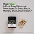 PALO FOCUS Brain Booster Natural Supplement - 60 Capsules for Memory, Focus, Learning, Attention