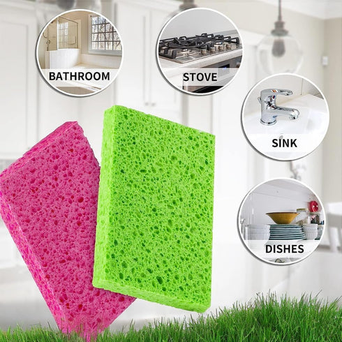 bioGo 30 Pack Compostable Pop-Up Sponges - Non-Scratch, Plant-Based Dish Sponges