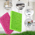 bioGo 30 Pack Compostable Pop-Up Sponges - Non-Scratch, Plant-Based Dish Sponges