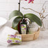 Italian Soap Bar (200 g) - No. 5 - Waterlily & Sandalwood