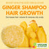 Shampoo Bar Pack 3 - Mix Ginger Rosemary & Rice Water - pH Balanced Hair Growth, Anti Hair Loss, Hair Regrowth Solid Soap Easy for Travel - Sulfate & Silicone Free For All Hair Type