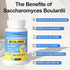 Saccharomyces Boulardii Probiotics | 200 Billion CFUs for Women & Men | Clinically-Studied for Gut & Immune Health