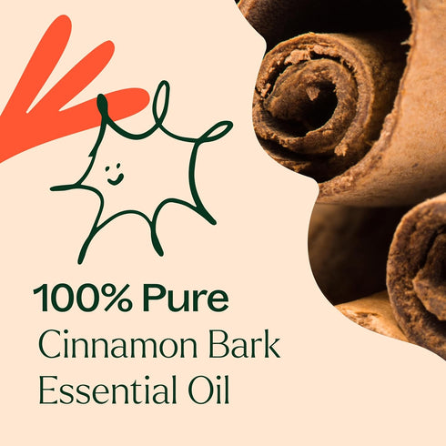 Plant Therapy Cinnamon Bark Essential Oil 10 mL (1/3 oz) 100% Pure, Therapeutic Grade