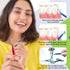 Interdental Brush and Toothpick Flossing Head, Oral Dental Hygiene Brush, Braces Cleaning Kit (72 Count, 2.5mm/3mm)