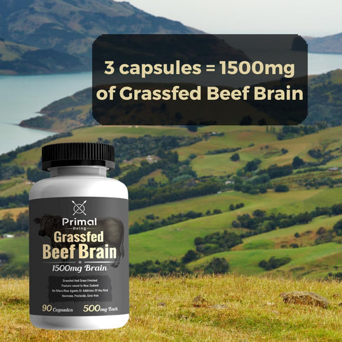 Primal Being Grassfed Beef Brain Supplement, Supports Memory, Mood, Focus, Energy, Cognitive Health - 90 Capsules,