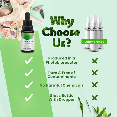 Chlorophyll Algae Supplement by Activation Products - Marine Phytoplankton, 1 Month Supply, 30 ml