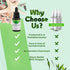 Chlorophyll Algae Supplement by Activation Products - Marine Phytoplankton, 1 Month Supply, 30 ml