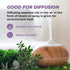 Benatu Essential Oils Set (Tea Tree, Lavender, Eucalyptus) - Organic Relax Scent Aromatherapy Gift for Skin Care,