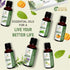 Set 6 15ml 6 Essential Oils - x - Top Fragrances (Sweet Orange, Eucalyptus, Lavender, Peppermint, Tea Tree, Lemongrass)