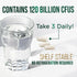Probiotics for Digestive Health | 120 Capsules | 120 Billion CFU for Women's Vaginal pH & Daily Immune Support,