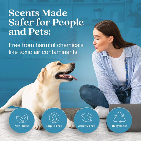 Enviroscent Non-Toxic Air Freshener for Home, Rainwater & Bamboo, Essential Oil Diffuser, Lasts Over 30 Days.