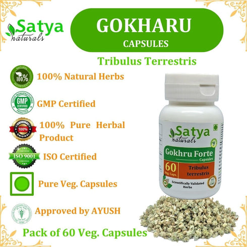 Satya Naturals 500 60 10:1 (1 60 Gokhru Forte Capsules mg. Veg. Capsule | Gokharu (Tribulus Terrestris) Extract