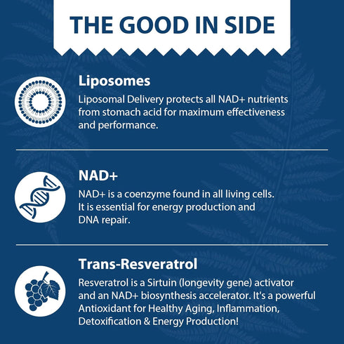 Liposomal NAD+ 500 mg + Trans-Resveratrol 300 mg, Superior Absorption True NAD Supplement for Cellular Energy