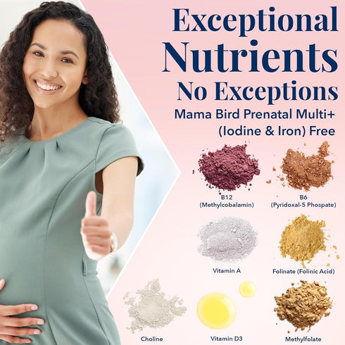Best Nest Wellness Mama Bird Prenatal Vitamin - Iron Free, 30 Count, Methylfolate for Pregnant Women, Vegan