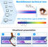 REAVEE 2 Pack Oprah Style Oversized Reading Glasses | Blue Light Blocking for Women and Men | Stylish Retro Square