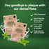 Natural Dental Floss Picks, Mint Flavored Toothpicks, 2-in-1 Natural Floss & Toothpicks, 200 Count
