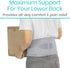 Vive Lower Back Support Brace for Men & Women, Dual Adjustable Lumbar Belt for Herniated Disc, Sciatica, Scoliosis Pain