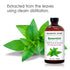 MAJESTIC PURE Spearmint Essential Oil - 100% Pure and Natural, Premium Grade for Hair Care, Skin, Aromatherapy, 4 Fl Oz