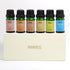 Gift Set of 6 Premium Fragrance Oils - Fragrance Oils for Perfume,