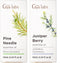 Pine Needle Oils for Diffuser & Juniper Essential Oil for Skin Set