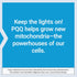 Life Extension PQQ Caps – 10 mg Pyrroloquinoline Quinone – Energy Support, Gluten-Free, Non-GMO, Vegetarian – 30