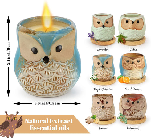 Kinforse 6 Pack Scented Candles Birthday Gifts for Women, Owl Gifts for Women, Novelty Owl Aromatherapy Candle Bulk