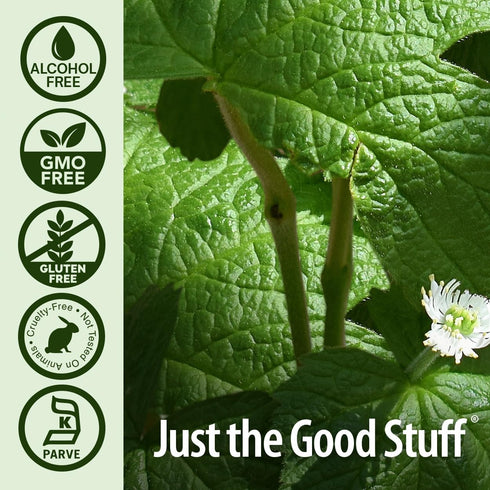 Nature's Answer Goldenseal Root | Herbal Supplement | 1oz - Supports Healthy Immune System