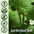 Nature's Answer Goldenseal Root | Herbal Supplement | 1oz - Supports Healthy Immune System