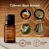Gya Labs Deep Calm Essential Oil for Diffuser Blend, 100% Natural Calm Oil for Aromatherapy and Relaxing