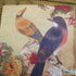 Decorative Disposable Napkins, Floral Pattern Birds Printing Decoupage Paper for Dinner Tableware (20 Count)