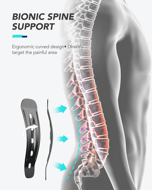 Back Brace for Women Men with Ergonomic Support and Carbon Fibre Splints for Lower Back Pain Relief