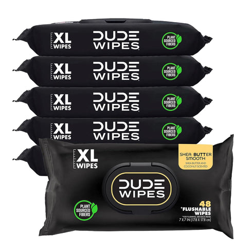 DUDE Wipes - 6 Pack Flushable Wipes, 288 Extra-Large Adult Wet Wipes with Shea Butter, Vitamin-E & Aloe